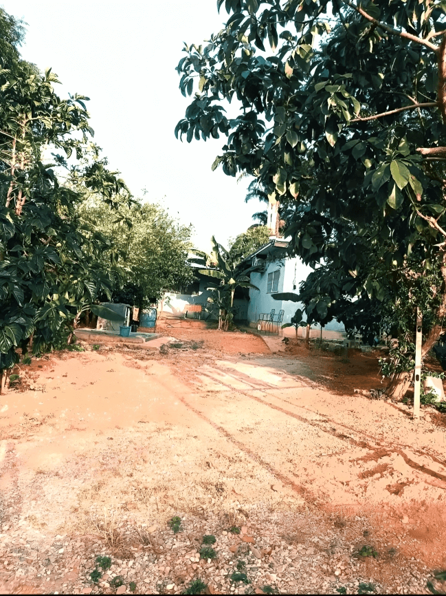 ¡Casa en El Manzano Conjunto Cerrado con Amplio Terreno! - Imagen 6